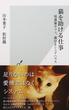 猫を助ける仕事 保護猫カフェ、猫付きシェアハウス(光文社新書)