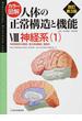 カラー図解人体の正常構造と機能 改訂第３版 ８ 神経系 １ 中枢神経系の構造・高次神経機能・運動系