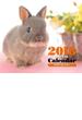 2018年ミニカレンダー ウサギ