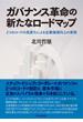 ガバナンス革命の新たなロードマップ