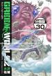 ＧＲＥＥＮ　ＷＯＲＬＤＺ　分冊版（30）