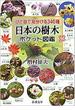 ひと目で見分ける340種　日本の樹木ポケット図鑑（新潮文庫）(新潮文庫)