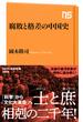 腐敗と格差の中国史(生活人新書)