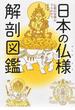 日本の仏様解剖図鑑 仏教の世界がマルわかり