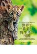 世界で一番美しい野生ネコ図鑑 広大な草原・密林で躍動する