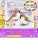 日本の野鳥 かわいい鳥図鑑
