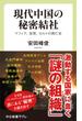 現代中国の秘密結社 マフィア、政党、カルトの興亡史(中公新書ラクレ)