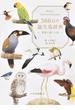 ３６６日の誕生鳥辞典 世界の美しい鳥