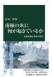 南極の氷に何が起きているか 気候変動と氷床の科学(中公新書)