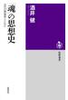 「魂」の思想史　──近代の異端者とともに(筑摩選書)