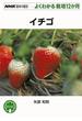 【アウトレットブック】よくわかる栽培１２か月　イチゴ