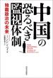 中国の恐るべき監視体制