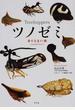 ツノゼミ ありえない虫