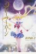 美少女戦士セーラームーン 完全版 10巻セット