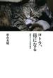 コトラ、母になる 津軽のネコの四季物語