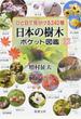 日本の樹木ポケット図鑑 ひと目で見分ける３４０種