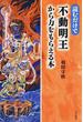 読むだけで不動明王から力をもらえる本