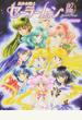 美少女戦士セーラームーン20周年記念BOOK To my dear Sailor Moon Age