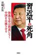 習近平の死角　独裁皇帝は間違いなく中国を自滅させる