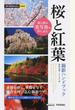 桜と紅葉撮影ハンドブック 美しい日本の風景を１枚の写真に写し込む！ 春と秋の美写真を写し込む