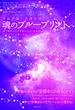 魂のブループリント 魂に刻まれた《本当の自分》を知れば人生はずっと楽になる