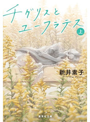 チグリスとユーフラテス 上