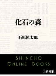 化石の森（新潮文庫）