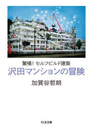 沢田マンションの冒険 驚嘆！セルフビルド建築