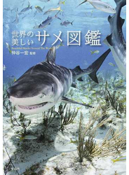世界の美しいサメ図鑑