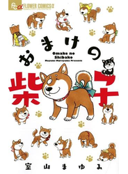 おまけの柴子