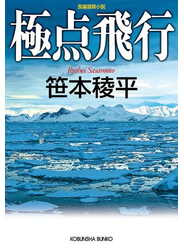 極点飛行