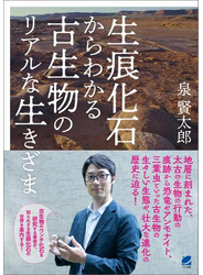 生痕化石からわかる古生物のリアルな生きざま