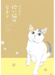 拾い猫のモチャ