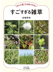 「ぱっと見」では気づかない すごすぎる雑草