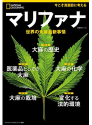 マリファナ　世界の大麻最新事情