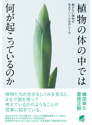 植物の体の中では何が起こっているのか