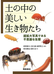 土の中の美しい生き物たち