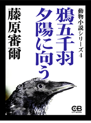 鴉五千羽夕陽に向う