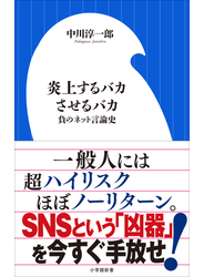 炎上するバカさせるバカ　～負のネット言論史～（小学館新書）