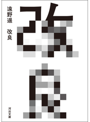 改良