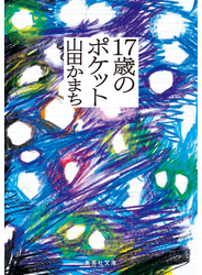 17歳のポケット