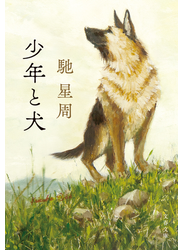 少年と犬