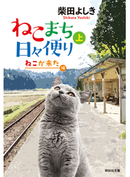 ねこまち日々便り（上）　ねこが来た編