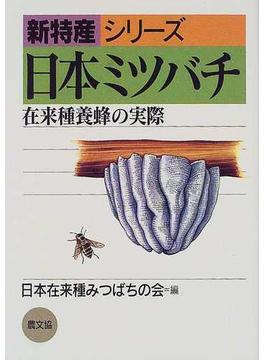 日本ミツバチ 在来種養蜂の実際