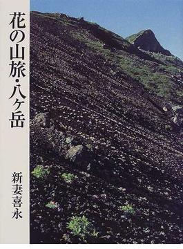 花の山旅・八ケ岳