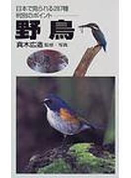 野鳥 日本で見られる２８７種判別のポイント