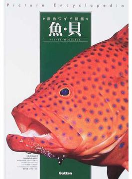 原色ワイド図鑑 Ｐｉｃｔｕｒｅ Ｅｎｃｙｃｌｏｐｅｄｉａ 改訂新版 ７ 魚・貝