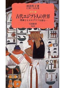 古代エジプト人の世界 カラー版 壁画とヒエログリフを読む(岩波新書 新赤版)