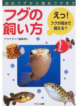 フグの飼い方 淡水フグから海水フグまで えっ！フグが真水で飼える？