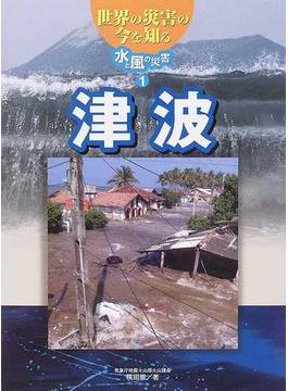 世界の災害の今を知る 水と風の災害・１ 津波